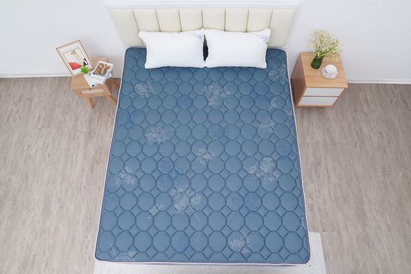  Đệm bông tinh khiết TH3 SH_DF25 304 