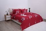  Bộ chăn ga gối cotton SH_BC25 112 