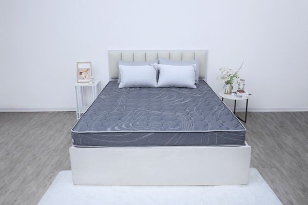  Đệm bông tinh khiết TH3 SH_DF25 302 