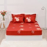  Chăn ga gối cotton SH_BC22 064 