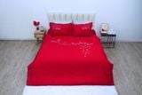 Bộ chăn ga gối Cotton SH_UC25 114 