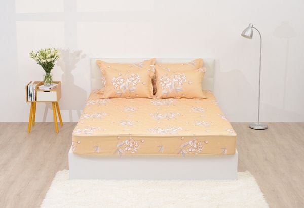  Bộ sản phẩm SH_BC22 066 