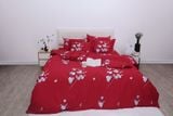  Bộ chăn ga gối cotton SH_BC25 112 