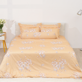  Bộ chăn ga gối cotton SH_BC22 066 