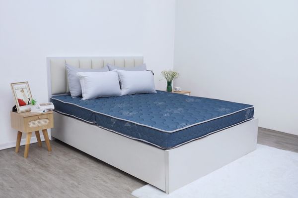  Đệm bông tinh khiết TH3 SH_DF25 304 