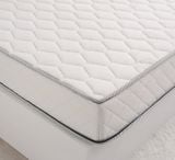  Đệm bông tinh khiết TH3 SH_DF22 003 