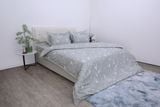  Chăn ga gối cotton SH_BC25 113 