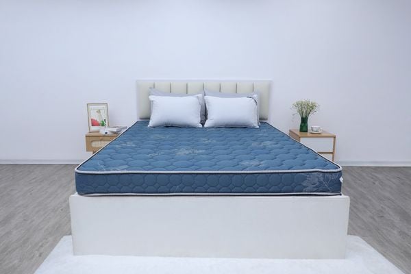  Đệm bông tinh khiết TH3 SH_DF25 304 