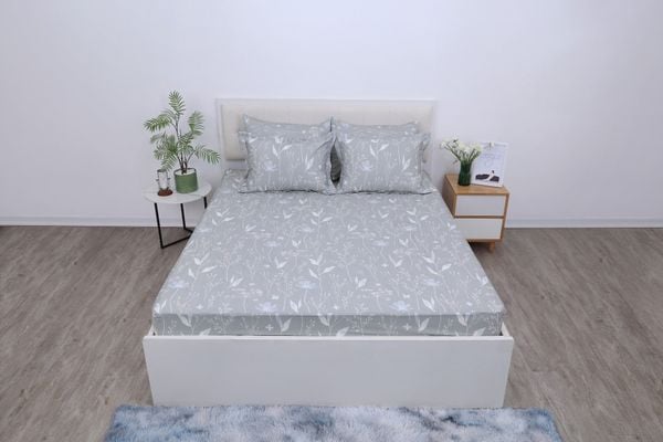  Bộ sản phẩm SH_BC25 113 