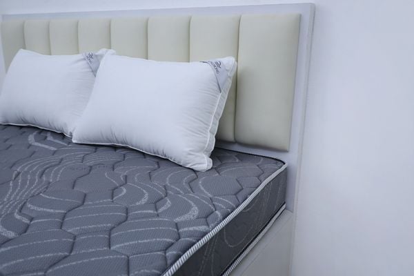  Đệm bông tinh khiết TH3 SH_DF25 302 