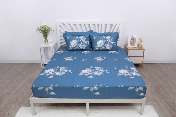  Bộ sản phẩm SH_AC25 101 