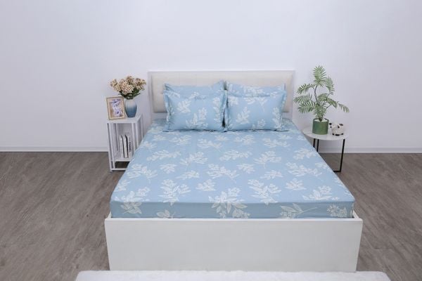  Bộ sản phẩm SH_BC25 109 