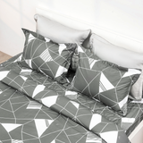  Bộ chăn ga gối cotton SH_BC22 061 