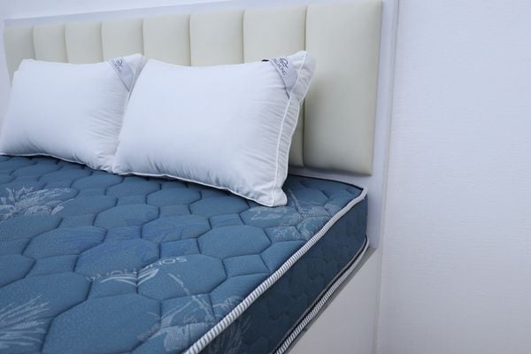  Đệm bông tinh khiết TH3 SH_DF25 304 