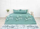  Bộ chăn ga gối cotton SH_BC22 063 