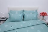  Bộ chăn ga gối cotton SH_BC25 114 