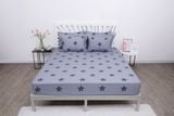 Chăn ga gối cotton SH_BC25 116 