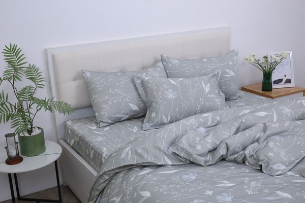  Bộ sản phẩm SH_BC25 113 