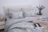  Chăn ga gối cotton SH_BC25 108 