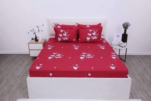 Bộ sản phẩm SH_BC25 112 