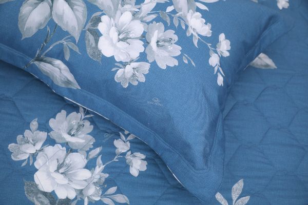  Bộ sản phẩm SH_AC25 101 