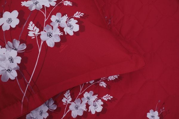  Bộ sản phẩm SH_BC25 112 