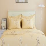  Chăn ga gối cotton SH_BC24 C07 