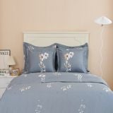  Bộ chăn ga gối cotton SH_BC24 C09 