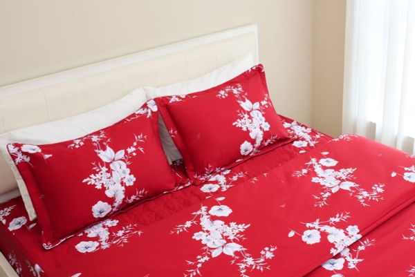  Bộ sản phẩm SH_BC24 105 