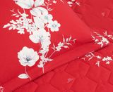  Chăn ga gối cotton SH_BC24 105 