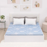  Đệm bông tinh khiết SH_DG21 008 