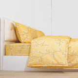  Bộ chăn ga gối cotton SH_BC23 076 