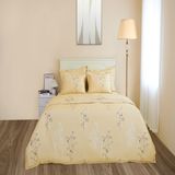  Chăn ga gối cotton SH_BC24 C07 