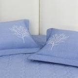  Bộ chăn ga gối Cotton SH_UC24 104 