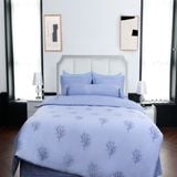  Bộ chăn ga gối Cotton SH_UC24 104 