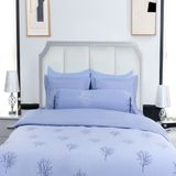  Bộ chăn ga gối Cotton SH_UC24 104 