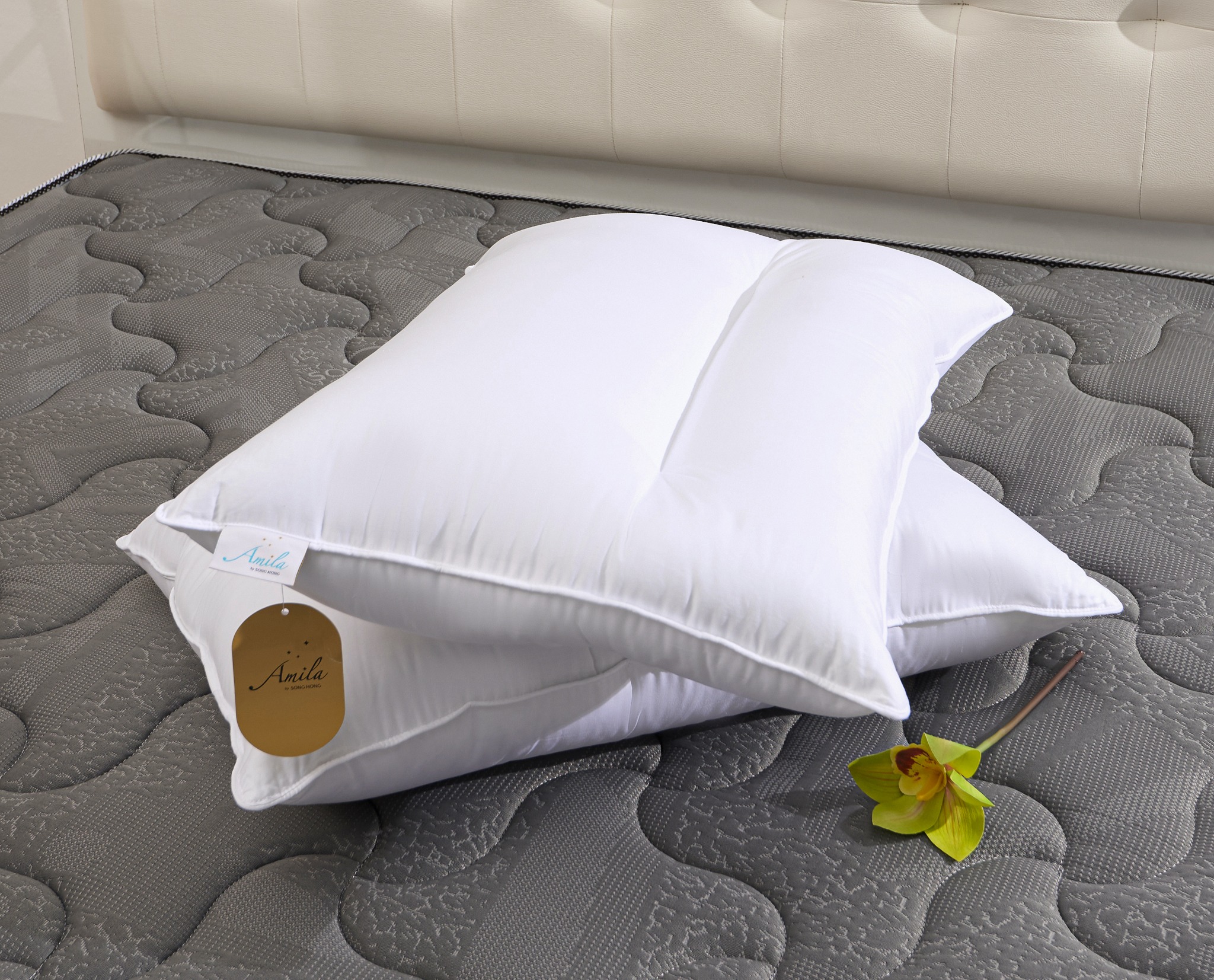 Ruột gối nằm Amila