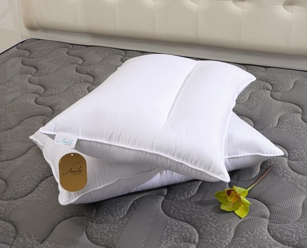  Ruột gối nằm Amila 