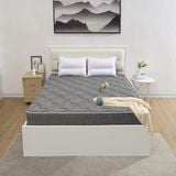  Đệm bông tinh khiết TH3 SH_DF24 301 