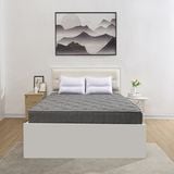  Đệm bông tinh khiết TH3 SH_DF24 301 