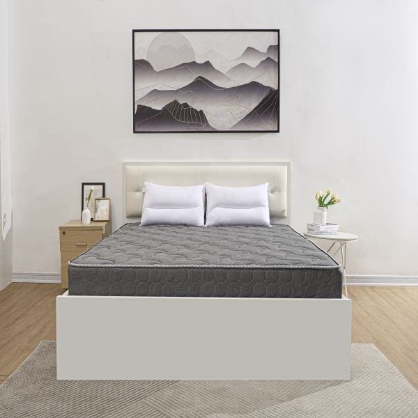  Đệm bông tinh khiết TH3 SH_DF24 301 