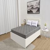  Đệm bông tinh khiết TH3 SH_DF24 301 