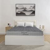  Đệm Back Essential SH_DB24 401 