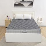  Đệm Back Essential SH_DB24 401 