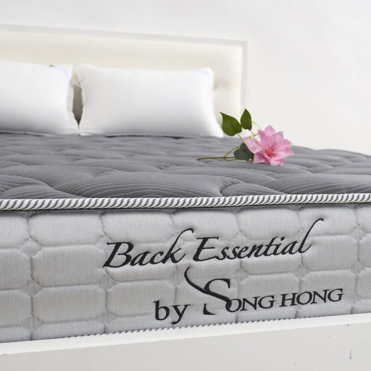 Đệm Back Essential SH_DB24 401 