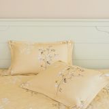  Chăn ga gối cotton SH_BC24 C07 