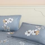  Bộ chăn ga gối cotton SH_BC24 C09 