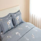  Bộ chăn ga gối cotton SH_BC24 C09 