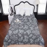  Chăn đông SH_BE24 E04 