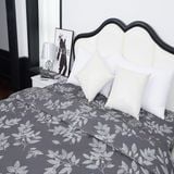  Chăn đông SH_BE24 E04 